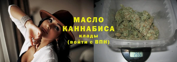 индика Покачи