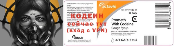 индика Покачи
