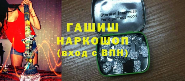 индика Покачи