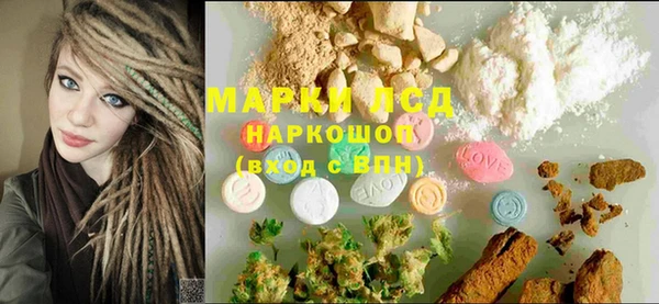 индика Покачи