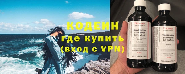 индика Покачи