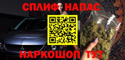 спиды Дубна