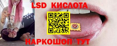 спиды Дубна