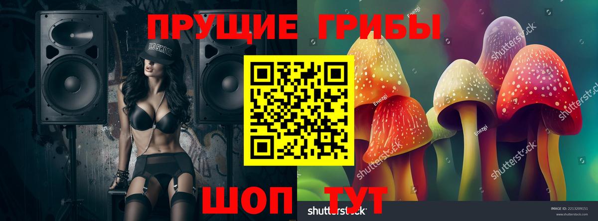 Псилоцибиновые грибы Psilocybine cubensis Котовск