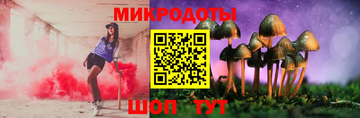 Псилоцибиновые грибы мицелий  Вход с VPN  Котовск 